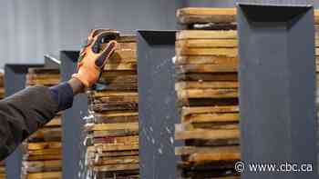 Canadian economy loses 33,000 jobs in March — the biggest monthly loss since 2022