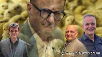 Deze 5 Kempense gemeenten hebben geen schepen van Dierenwelzijn: "We behandelen het via andere bevoegdheden"