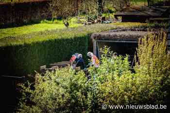 Privésecretaresse van Goodyear-topman opgepakt na moord op zijn echtgenote: speurders vallen binnen in woning in Steenokkerzeel