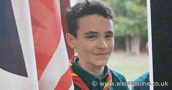 Driver using phone accelerated through red light, killing boy, 14