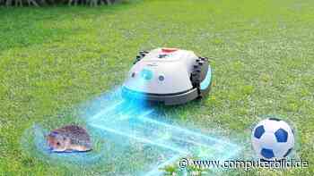 Drahtlos mähen für kleines Geld: Yardcare lockt mit ultragünstigen Rasenmährobotern