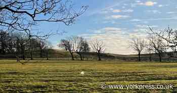 North Yorkshire 'green' first aims to help with planning applications