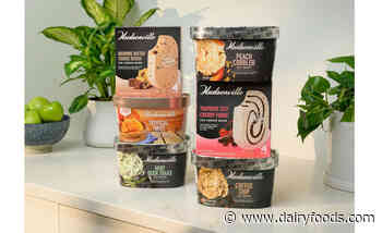 Hudsonville debuts six new ice cream products