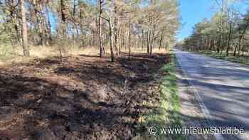 Brandweer blust hevige bermbrand in Hamont