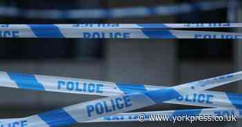 Vandals savage 300 trees in York park
