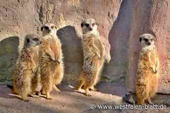 Der Herforder Tierpark boomt