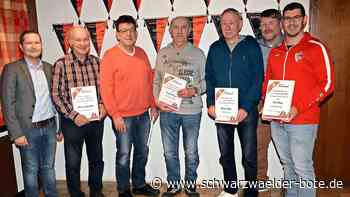 Spielvereinigung Berneck/Zwerenberg: Damen-Coach Gall schwärmt von hoher Trainingsbeteiligung