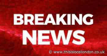 LIVE updates as police flock to incident in Beckenham park