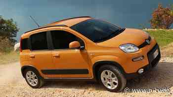 Gebrauchtwagencheck: Fiat Panda - Kultauto mit reichlich Kritikpunkten