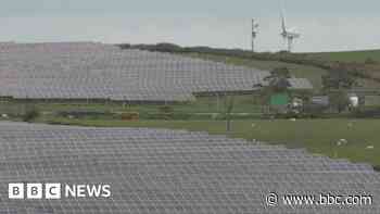 Immigration officers arrest 16 at Anglesey solar farm