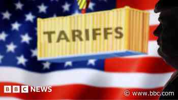US tariffs 'painful' for some but 'opportunities' for others
