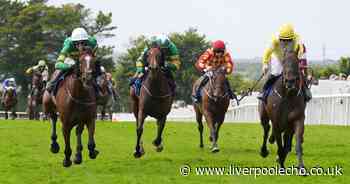 This is who will win the Grand National in 2025