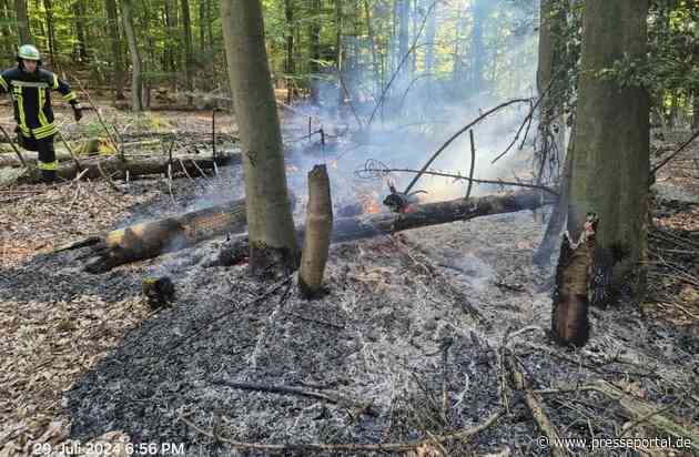 FW Kreis Soest: Wald- und Flächenbrandgefahr jetzt schon hoch - wie kann man vorbeugen?