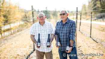 Wijn van druiven op Genkse terrils is nog niet te koop, “maar de smaak is heerlijk”