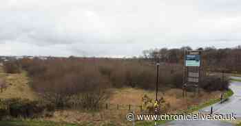 Proposals for new industrial storage unit in Longbenton