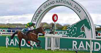 Grand National 2025 tips: The 8 horses experts think you should bet on