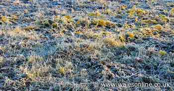 BBC's Derek Brockway warns of -1 temperatures despite Wales' hottest day of the year