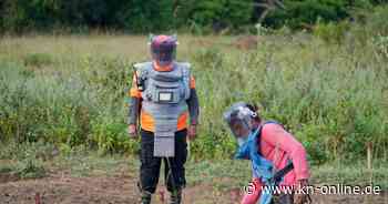 Nato-Staaten planen Einsatz von Landminen – Rückzug aus Ottawa-Konvention