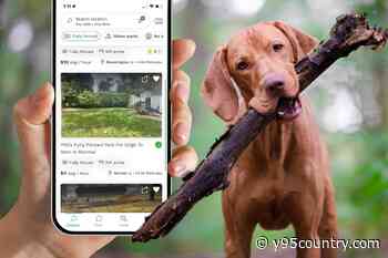 App Lets You Rent a Private Yard for Your Dog to Run Wild