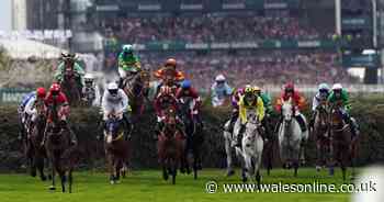 Grand National 2025: Full list of confirmed runners, odds and favourite