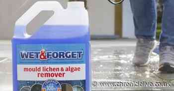 Amazon shoppers rave over no-scrub algae remover that makes gardens 'look new again'