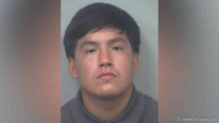 Man suspected of strangling pregnant teen girlfriend to death release on bond for the second time