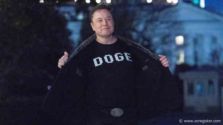 Tesla estimates cut further on ‘unprecedented brand damage’