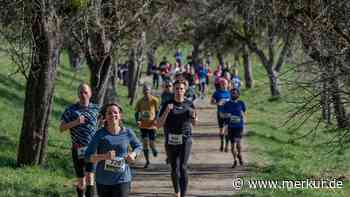 Das läuft auf einen Rekord hinaus: Ebersberger Seelauf lockt Ausdauerfreunde an
