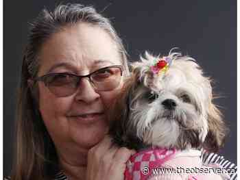 Be wary, Sarnia woman warns, after her dog ingests toxins