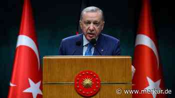 Türkei-Experte mit scharfer Kritik an Regierung: „Deutschland toleriert Erdogan“