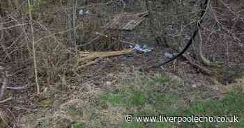 Dead dog dumping spot close to where kids play