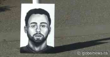 Do you know this man? Suspect in Abbotsford sex assault depicted in sketch