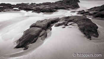 It's the Light Stupid (Part Two)