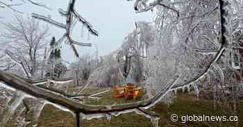 ‘Just trying to survive’: Some Ontarians still reeling from ice storm, power outages