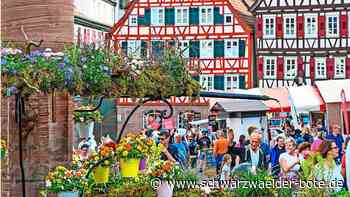 Anzeige: Farbenfroh startet der Frühling in der Calwer Innenstadt
