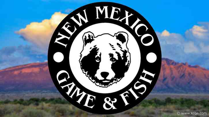 Checkpoints for wildlife law violations begin in New Mexico