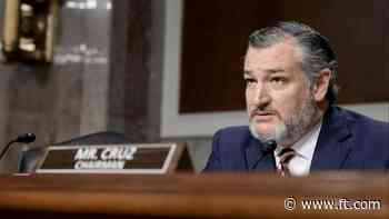 Cruz says Republicans face midterms ‘bloodbath’ if tariffs trigger recession