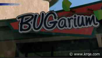 BioPark closes 'Bugarium' for maintenance