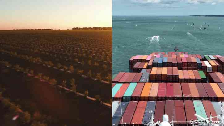 'We're navigating the uncertainty:' New Mexico leaders respond to Trump tariffs