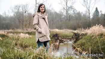 De Limburgse droogtecoördinator: “Als het hier minder gaat regenen, hebben we een groot probleem”
