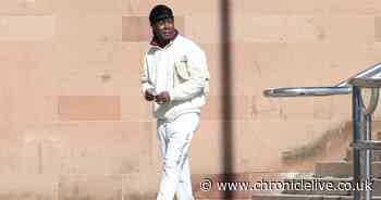 Man accused of flashing genitals at teenage girls before urinating in Newcastle park