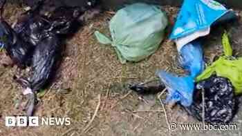 'Our home is not your tip' - anger at TikTok tourism