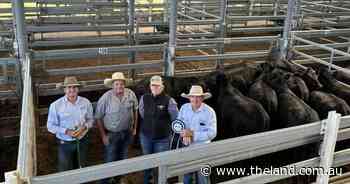 Hunter Valley weaners sell to strong bidding as buyer confidence swells
