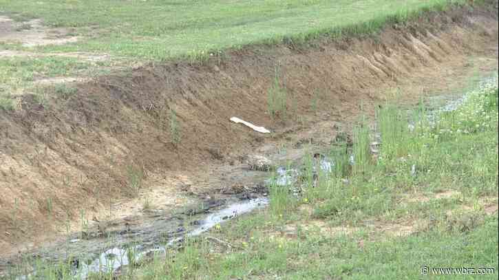 Multiple Ascension Parish employees fired after alleged work on private land