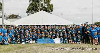 WA Youth Cattle Camp develops future cattle handlers from all over Oz