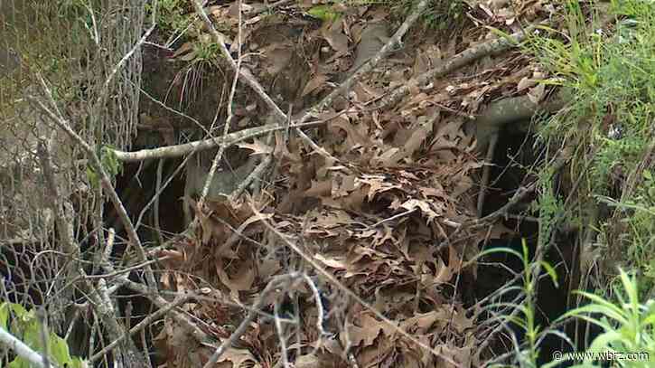 Massive sinkhole opens in backyard, property owner concerned there's no solution