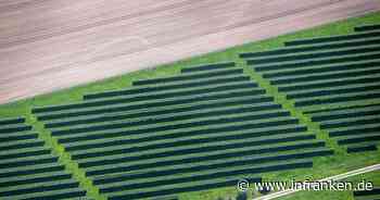 Sonnenstrom-Erzeugung beliebt - Schon fünf Millionen Anlagen