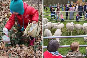 Nog geen plannen tijdens de paasvakantie? Bekijk hier onze tips voor activiteiten in Antwerpen