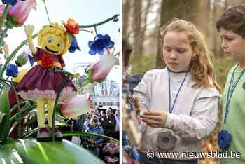 Nog geen plannen tijdens de paasvakantie? Bekijk hier onze tips voor activiteiten in West-Vlaanderen