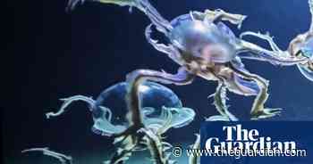 Adventures in AI, inner children unleashed and provocations from a master prankster – the week in art